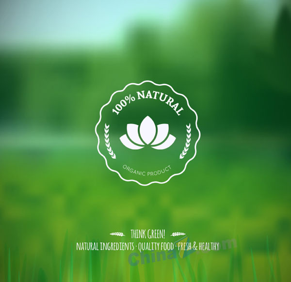 wulogo11263.jpg