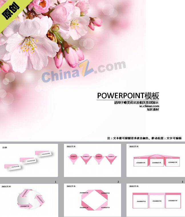 ppt4700.jpg