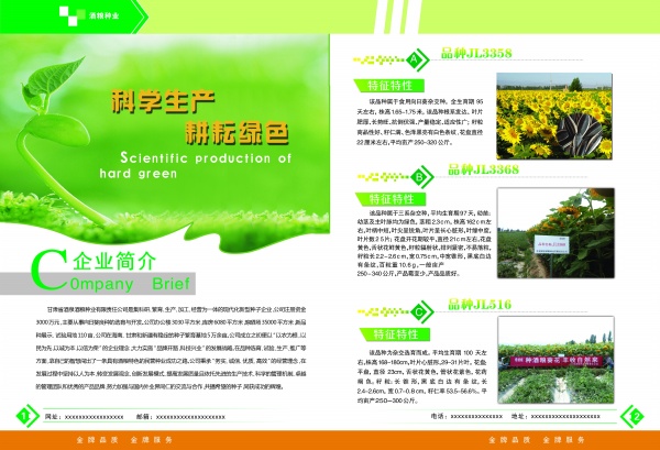 企业简介PSD画册模板