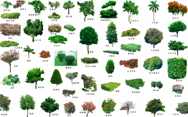 绿色园林植物PSD素材