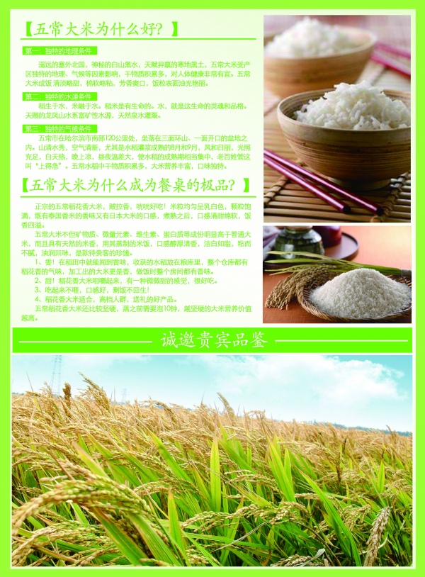 稻谷大米广告宣传海报