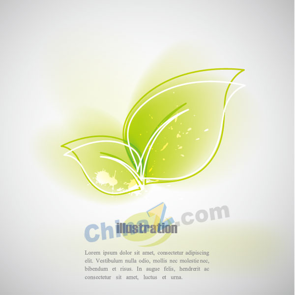 wulogo13949.jpg
