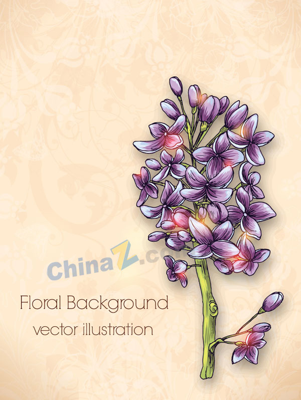 wulogo14005.jpg