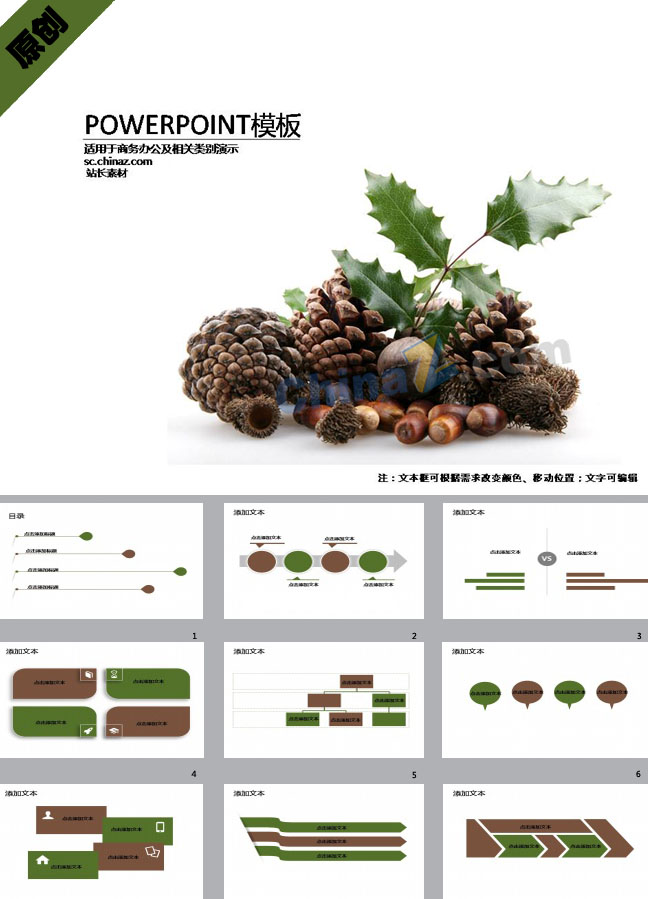 ppt5406.jpg