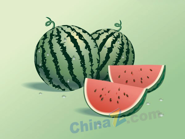 逼真的矢量西瓜