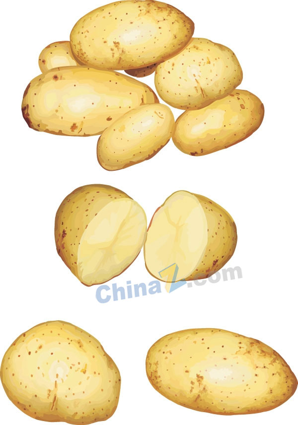 wulogo14100.jpg