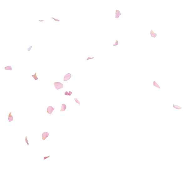 玫瑰花瓣设计源文件