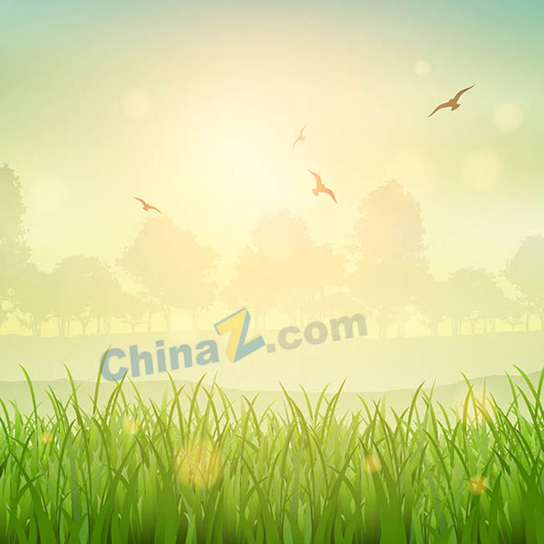 wulogo15663.jpg