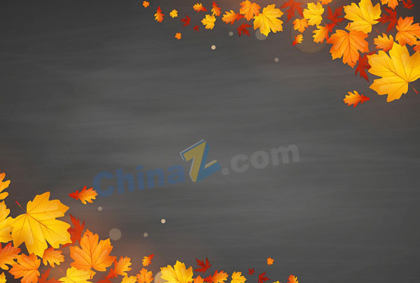 wulogo16092.jpg