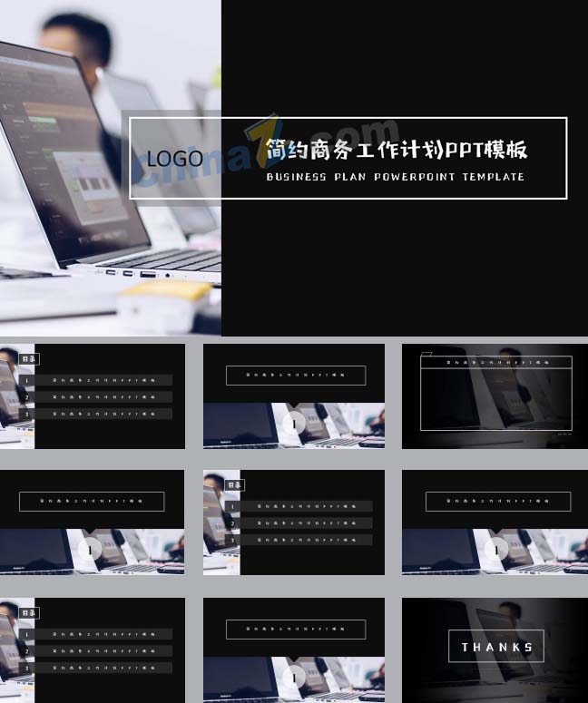 zppt913.jpg