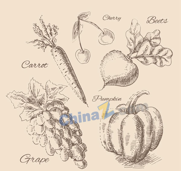 wulogo17582.jpg
