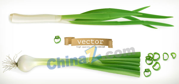 wulogo17607.jpg