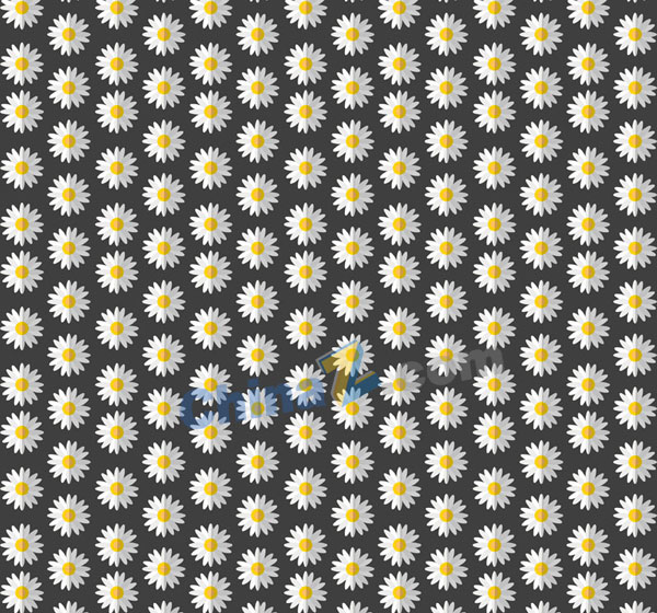 wulogo17781.jpg