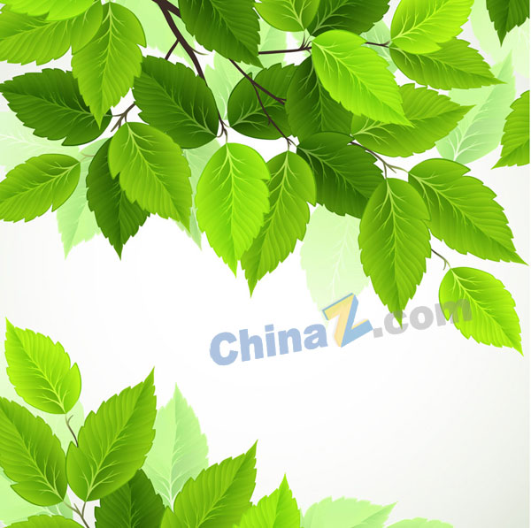 春季绿色树叶矢量素材