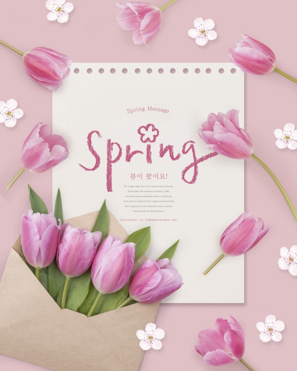 春季郁金香花卉海报