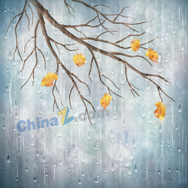 wulogo19817.jpg