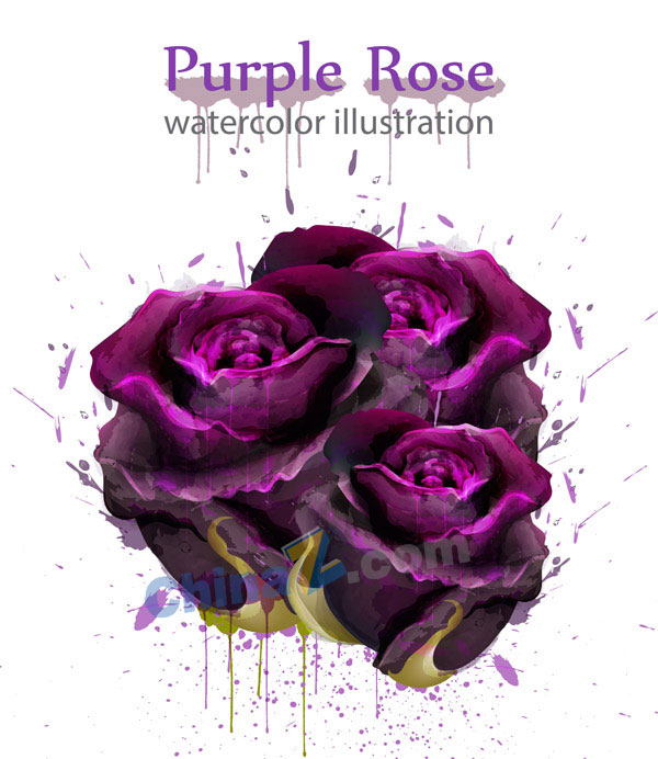 wulogo20275.jpg
