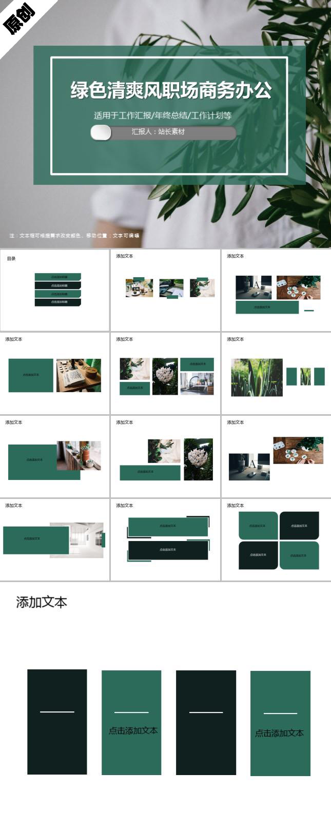 zppt4081.jpg