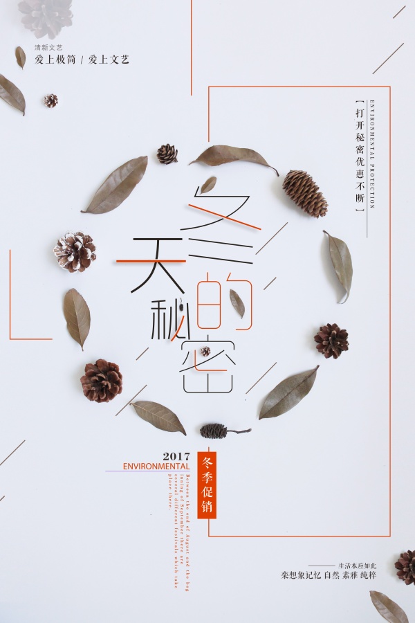 冬天的秘密PSD促销海报