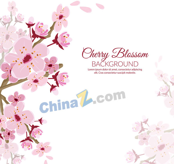 wulogo20984.jpg