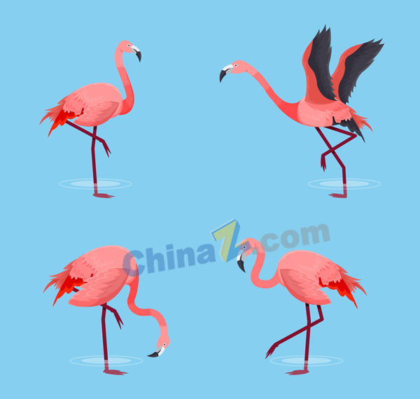 wulogo21461.jpg