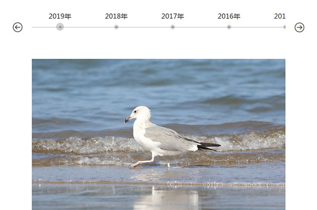 jQuery发展历程时间轴代码