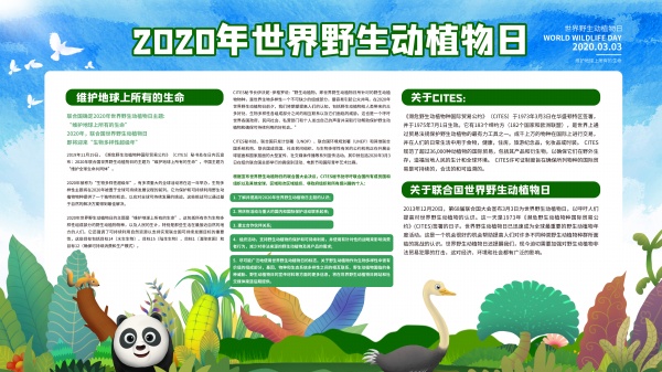 zpsd2600.jpg