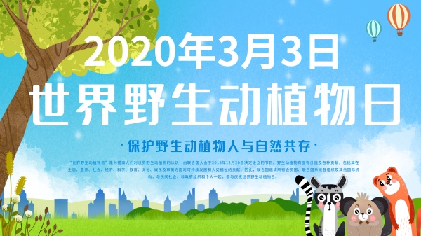 zpsd2604.jpg