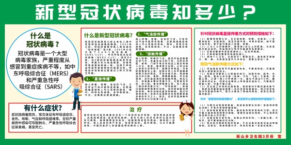 新型冠状病毒PSD展板