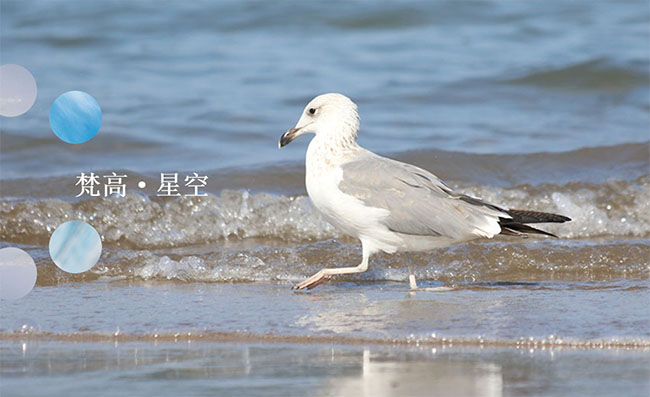 jiaoben8660.jpg