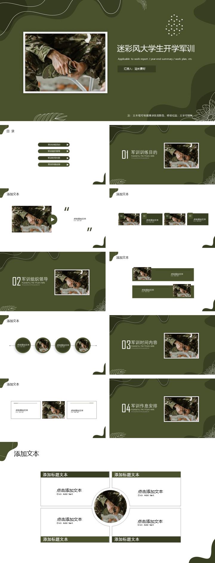 zppt10672.jpg