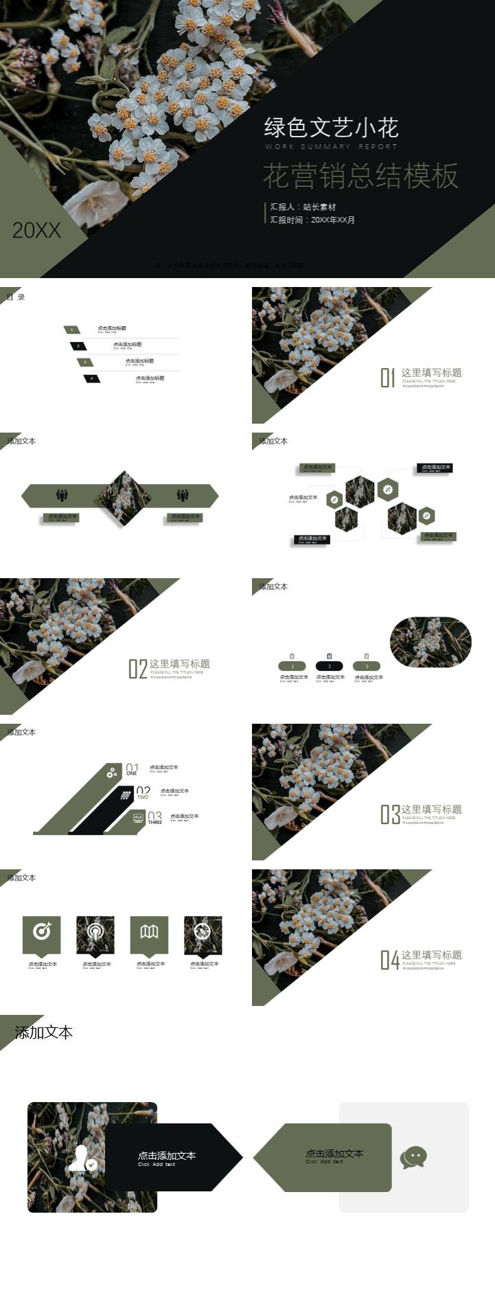 zppt11072.jpg