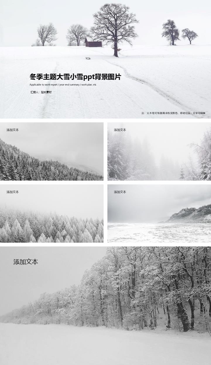 zppt11127.jpg
