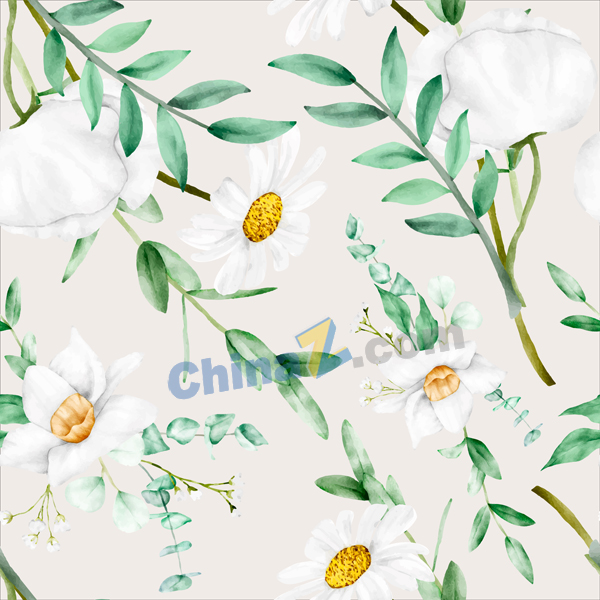 水彩白色花卉无缝图案