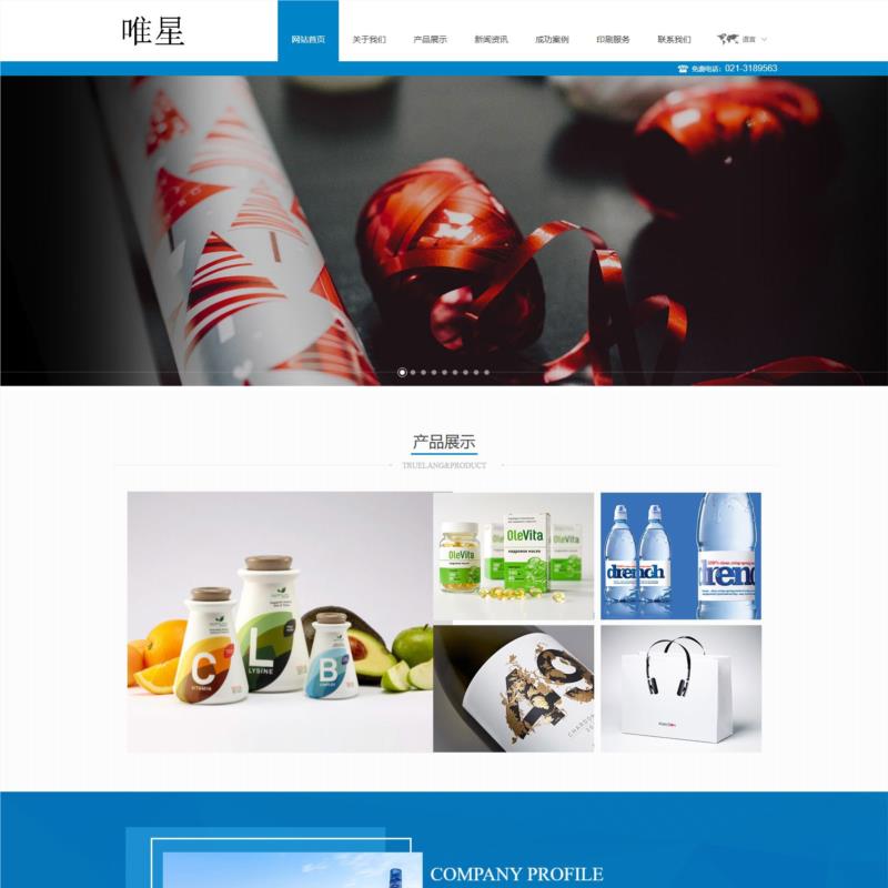 产品服务类企业网站响应式整站html