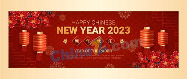 wulogo28453.jpg
