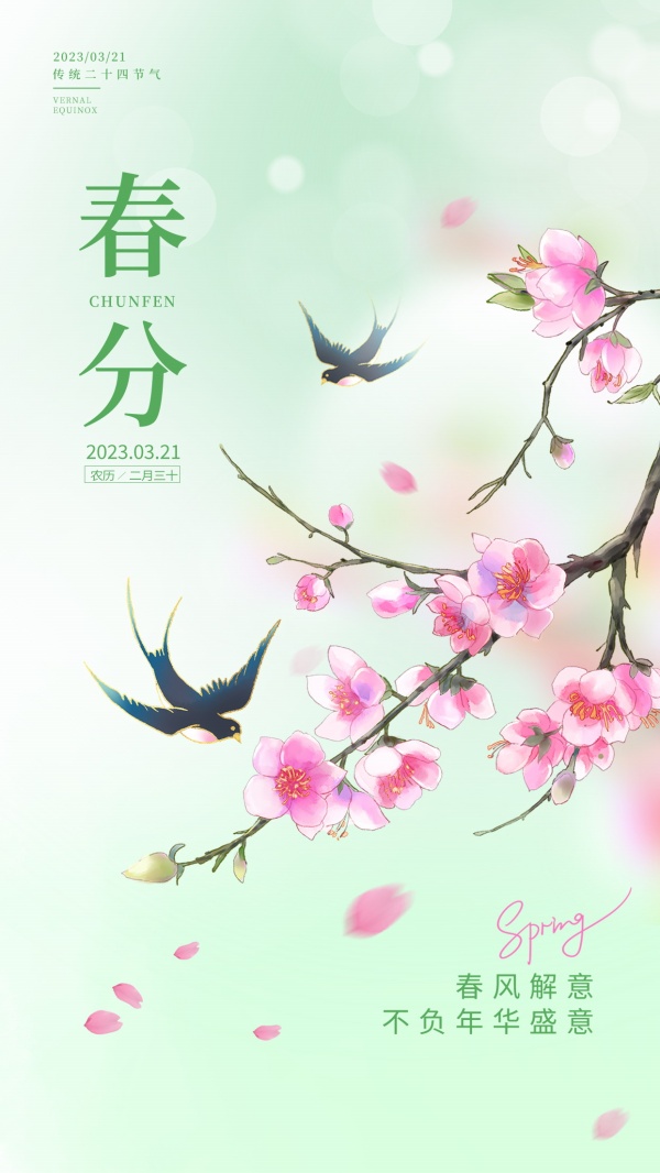春分节气广告海报设计