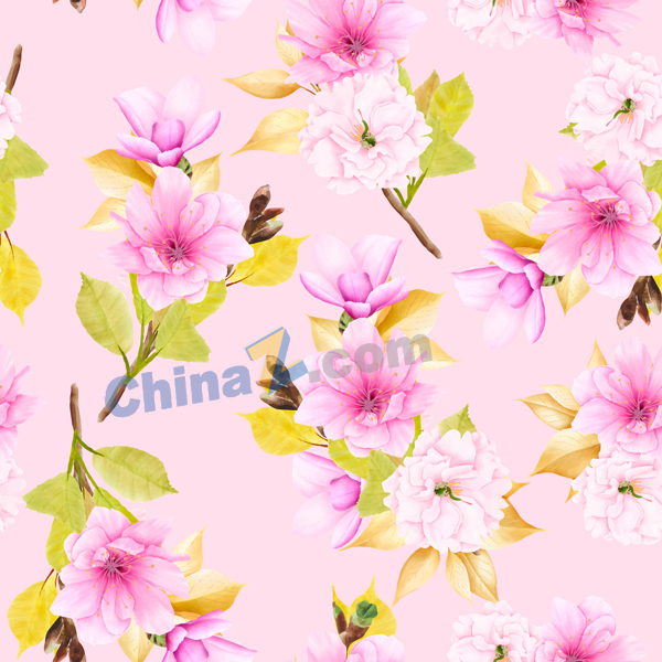 wulogo29200.jpg