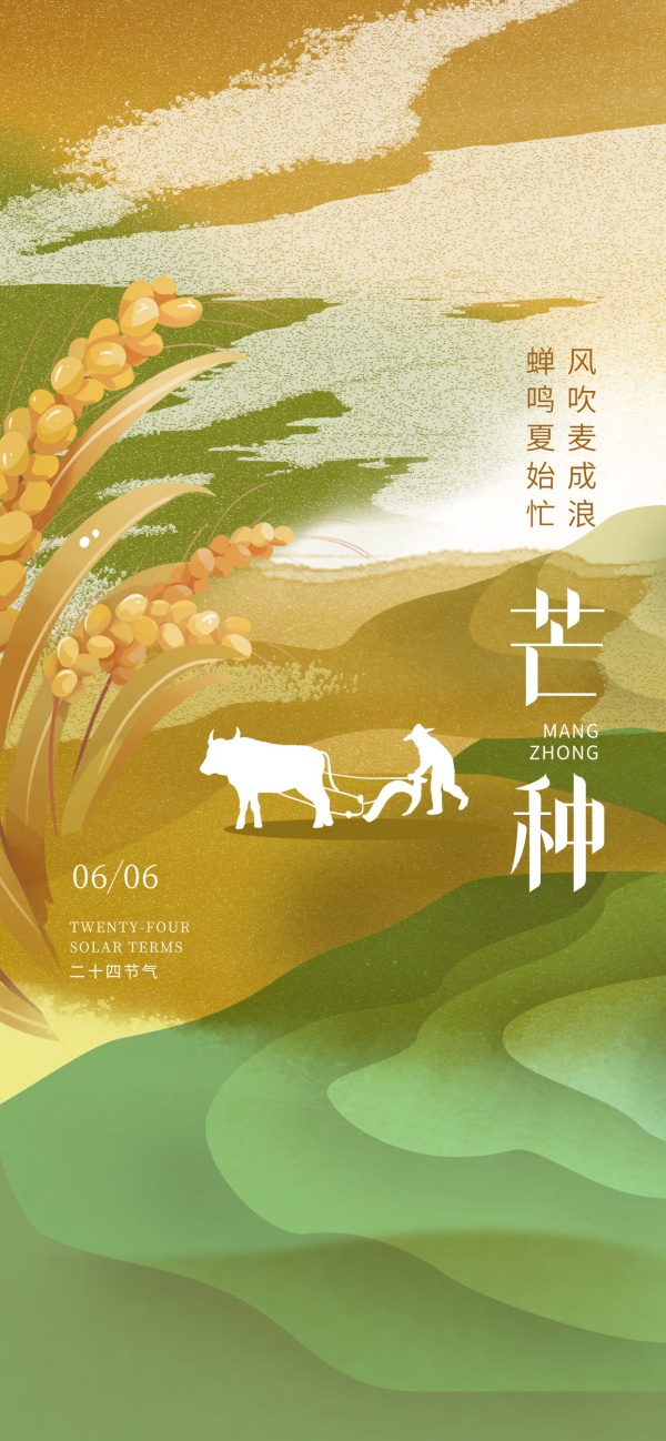 芒种手绘节气朋友圈配图