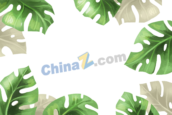 wulogo29797.jpg