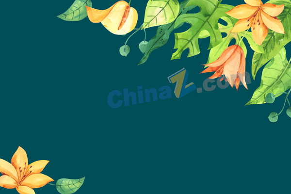 wulogo29892.jpg