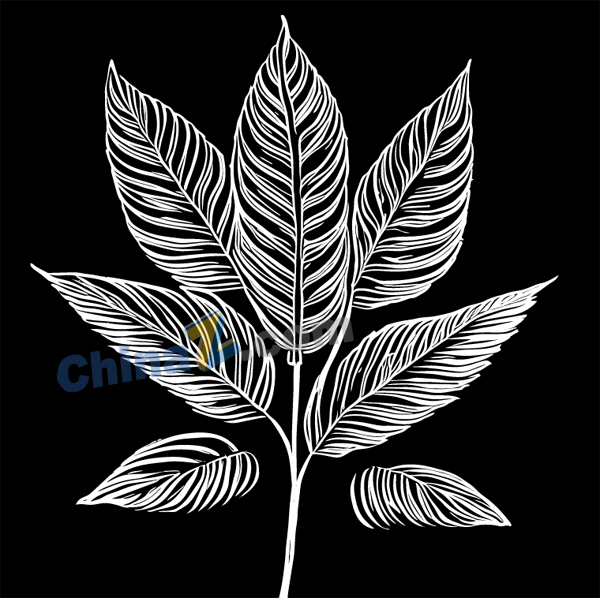 wulogo30053.jpg