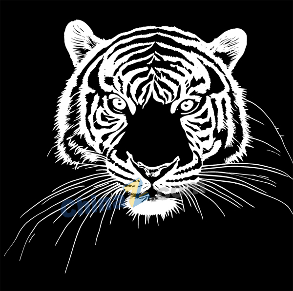 wulogo30168.jpg