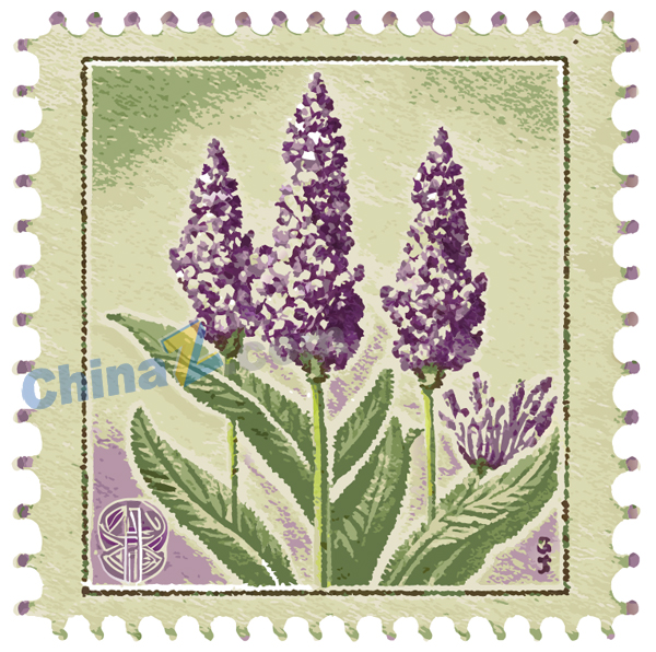 wulogo30228.jpg