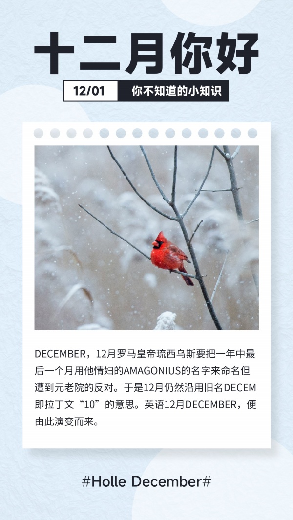 十二月你好月签海报模板
