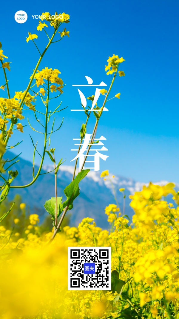 立春油菜花背景海报模板
