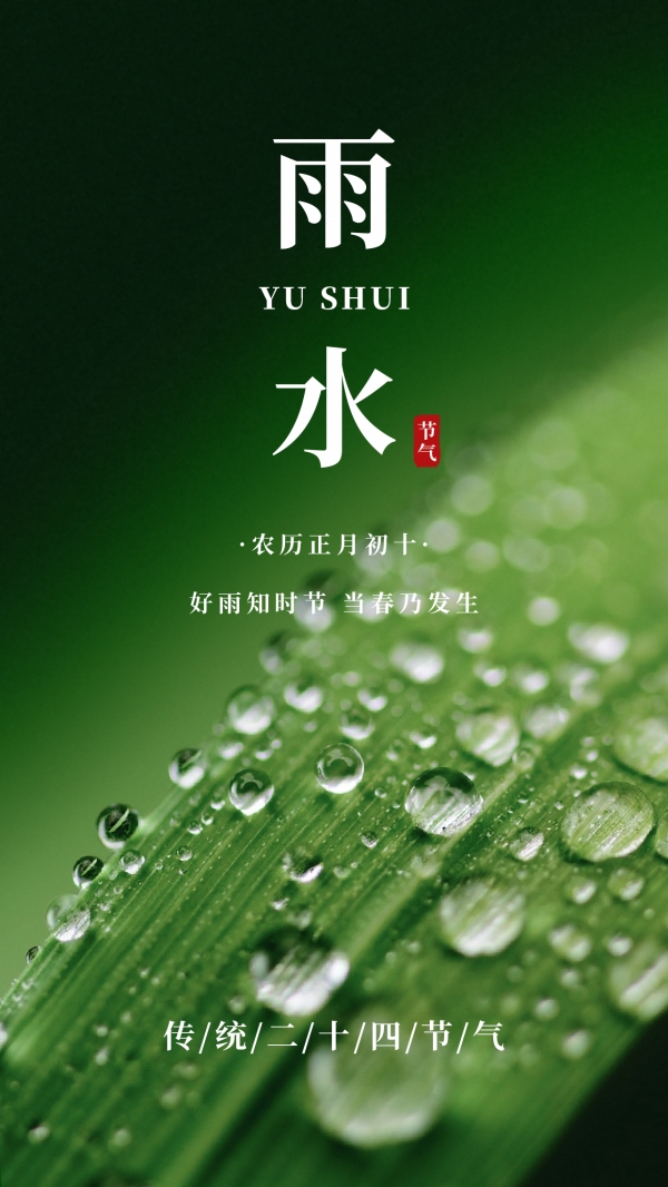 甲辰年雨水节气海报模板素材