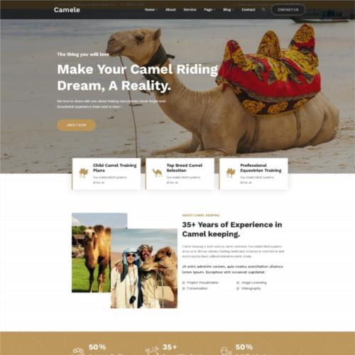 骆驼饲养服务网站模板