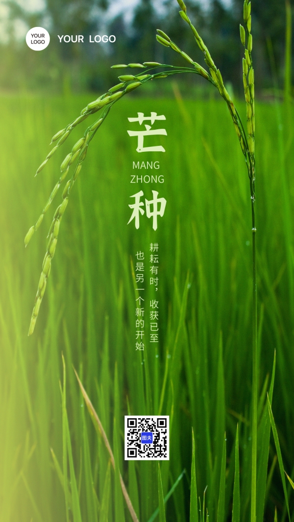 芒种节气宣传海报模板素材