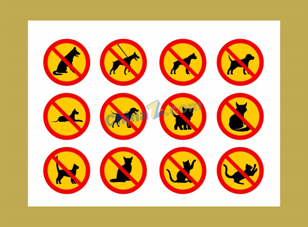zlogo842.jpg